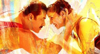 Sultan 2016 Hindi Film